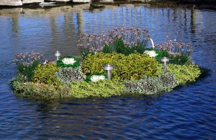 Растения для прудика. Цветник в лодке. Клумба на воде. Плавающая клумба. Плавающий цветник.