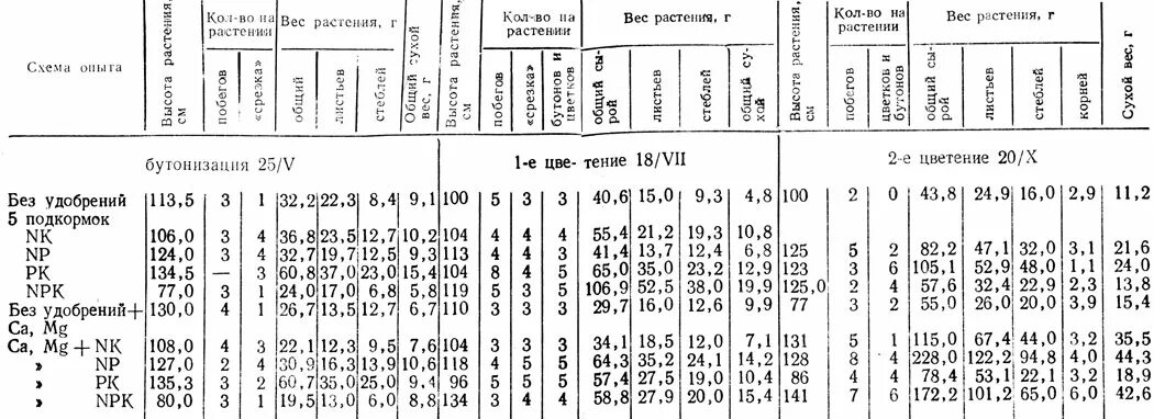 Сколько весят цветы. Вес растений. Таблица веса саженцев деревьев. Средняя масса одного растения. Сколько весят саженцы.