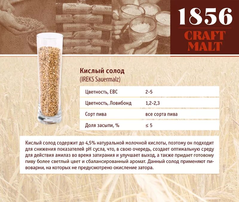 Степень обжарки солода таблица. Таблица обжарки солода. Таблица обжарки солода для пива. Вкус солода какой. Пиво голд ячменное.