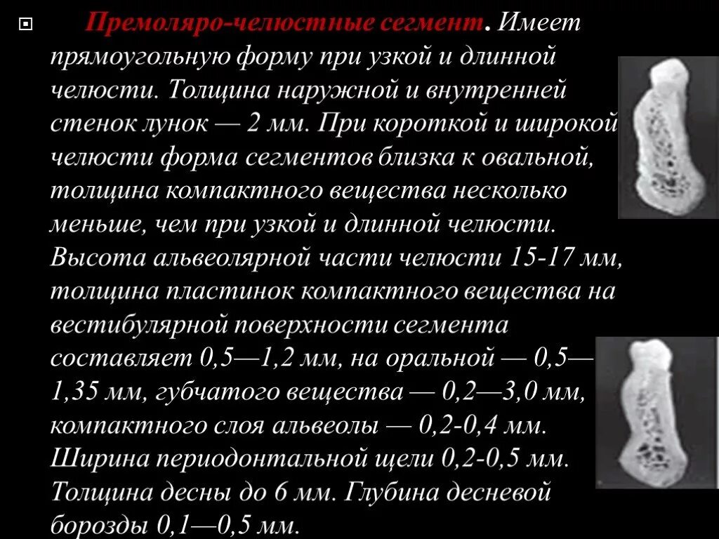 Форма сегмента