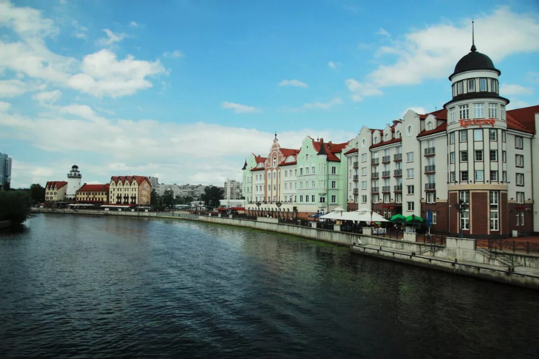 Преголя калининград. Калининград на какой реке стоит. Калининград на какой реке стоит. Калининград на какой реке стоит. Река преголь в калининграде.