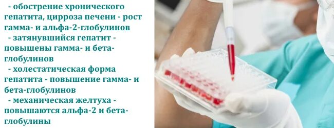 Гамма глобулин понижен. Гамма-глобулин повышен. Повышенный гамма глобулин. Повышение гамма глобулина в крови. Глобулины повышены.