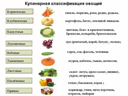 Хранить овощи сложное слово существительное