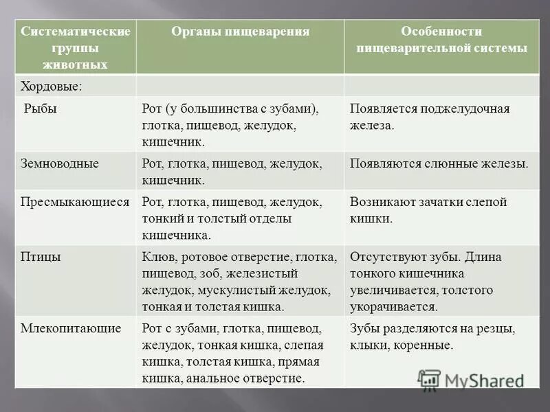 Характеристика систем у животных. Сравнительная таблица пищеварительной системы позвоночных животных. органы пищеварения особенности строения и функции таблица. эволюция пищеварительной системы позвоночных.
