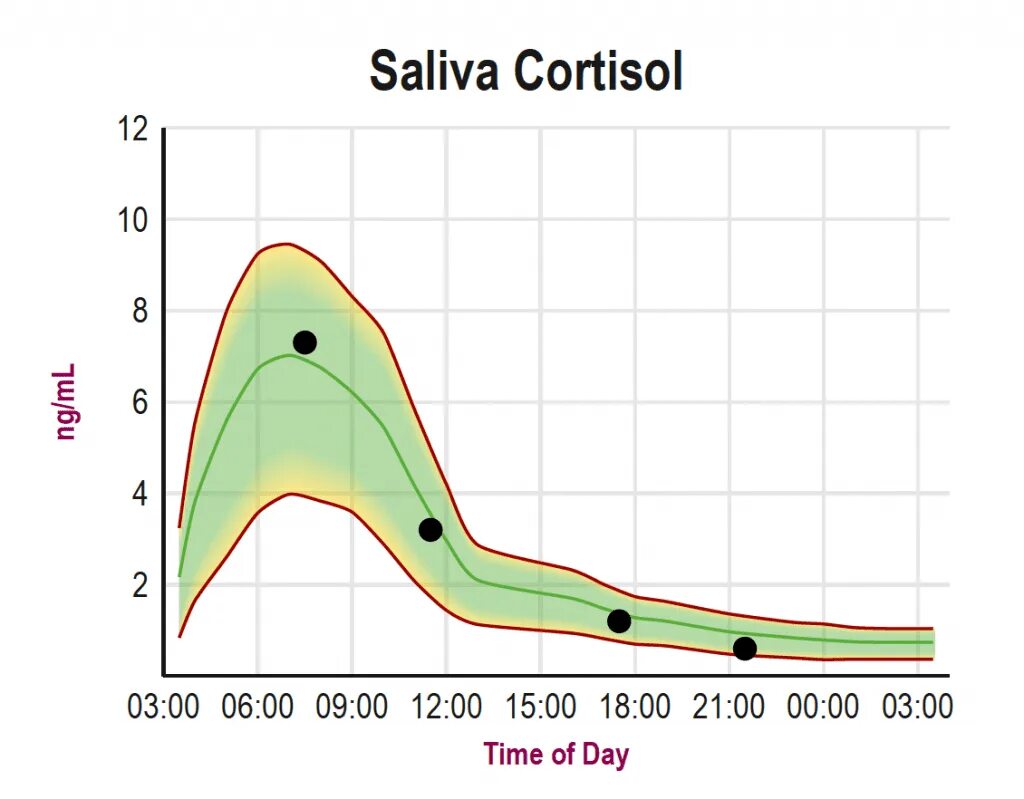 Кортизол. Cortisol Level diurnal. Кортизол в слюне. Кортизол в слюне в 4 точках.