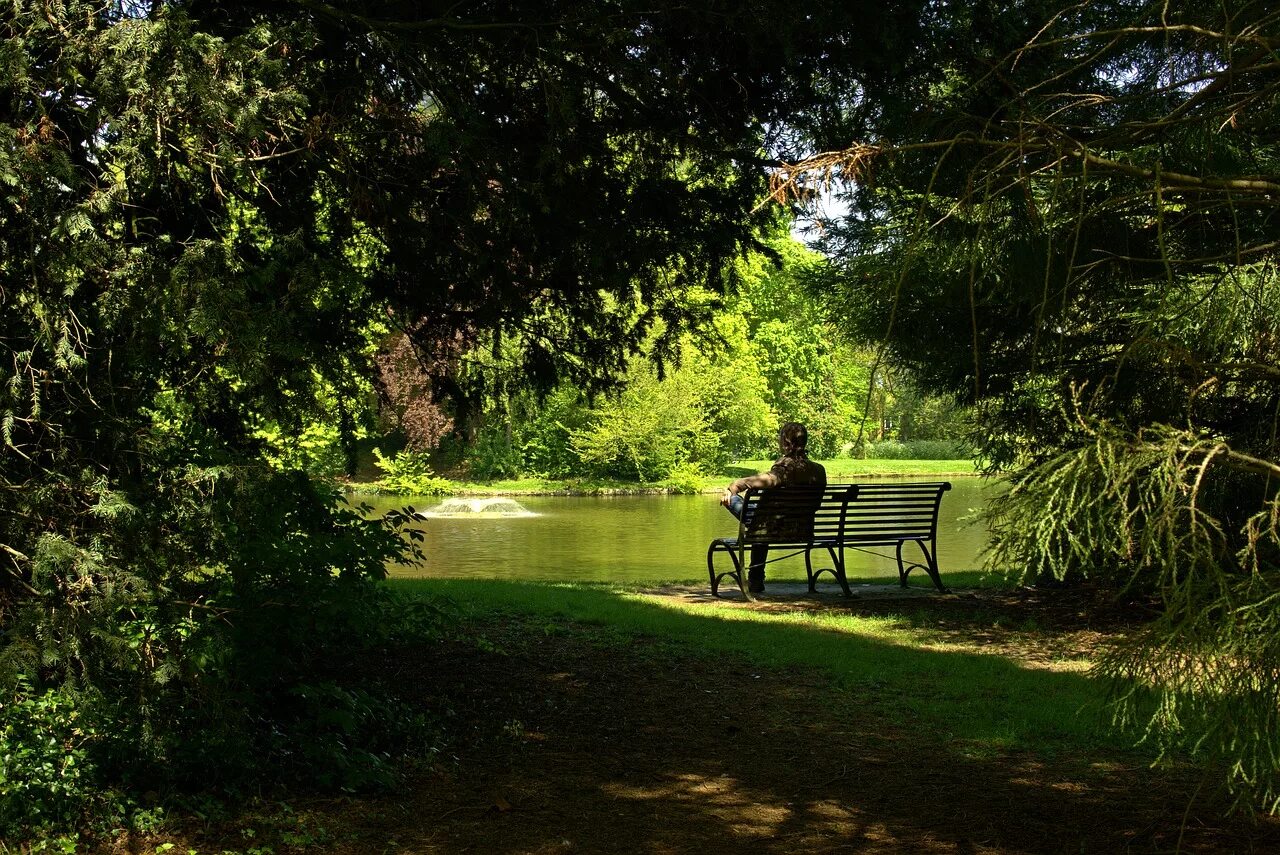 Люди в тени деревьев. Hyde park лавочки. парк кузьминки скамейки у пруда. скамейка в парке. лавочки в парке в тени деревьев.