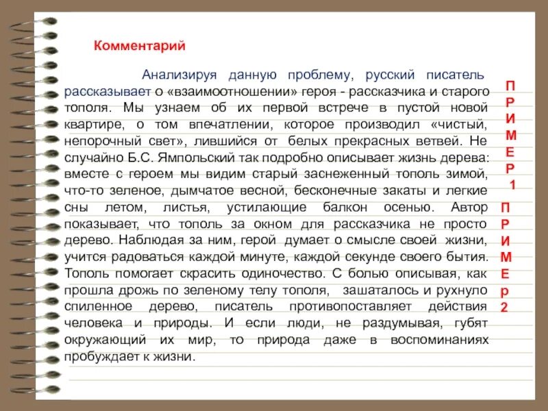 Седой тополь читать. Седой тополь сочинение. герой в рассказе седой тополь. седой тополь краткое содержание. седой тополь воробьев.