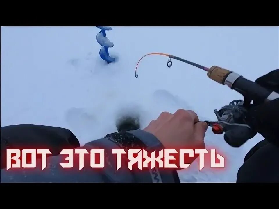 Ловля судака зимой с эхолотом. Ловля судака зимой с эхолотом