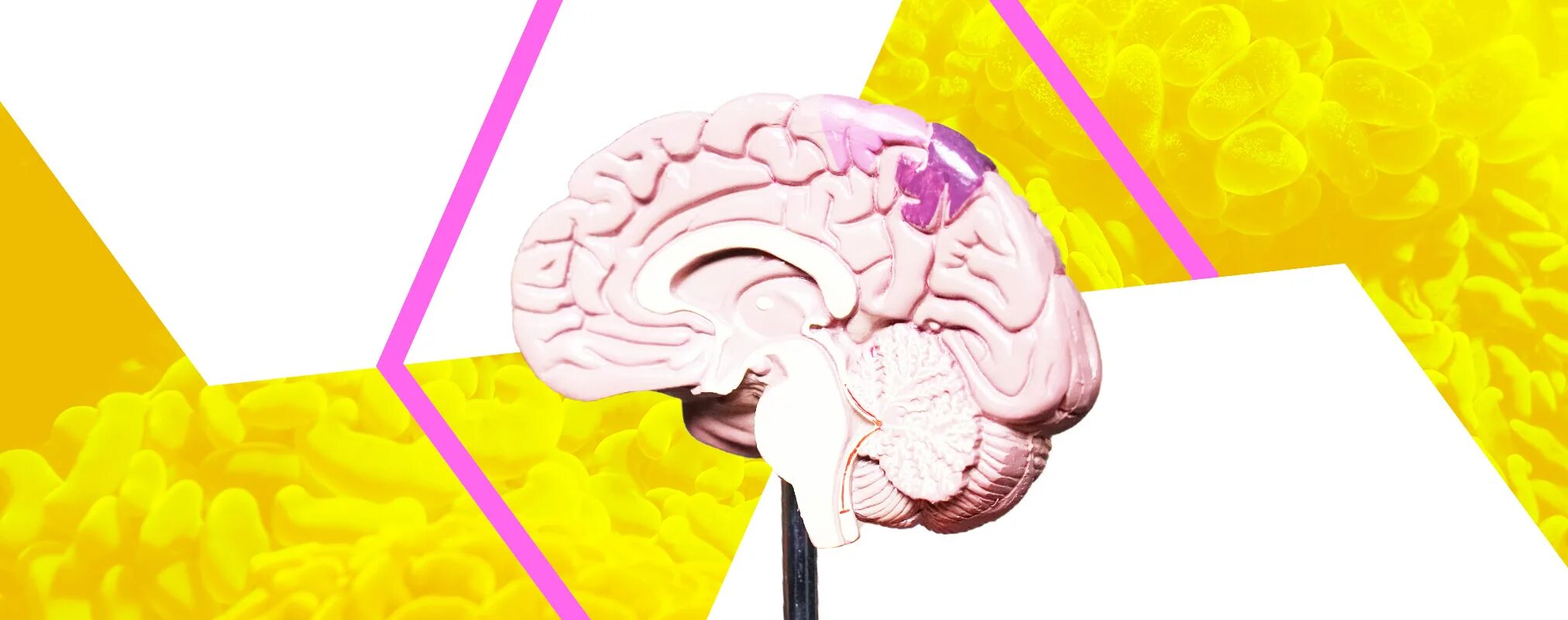 Как ребенку улучшить мозг. Мозг на желтом фоне. день тренируйте свой мозг 13 октября картинки.