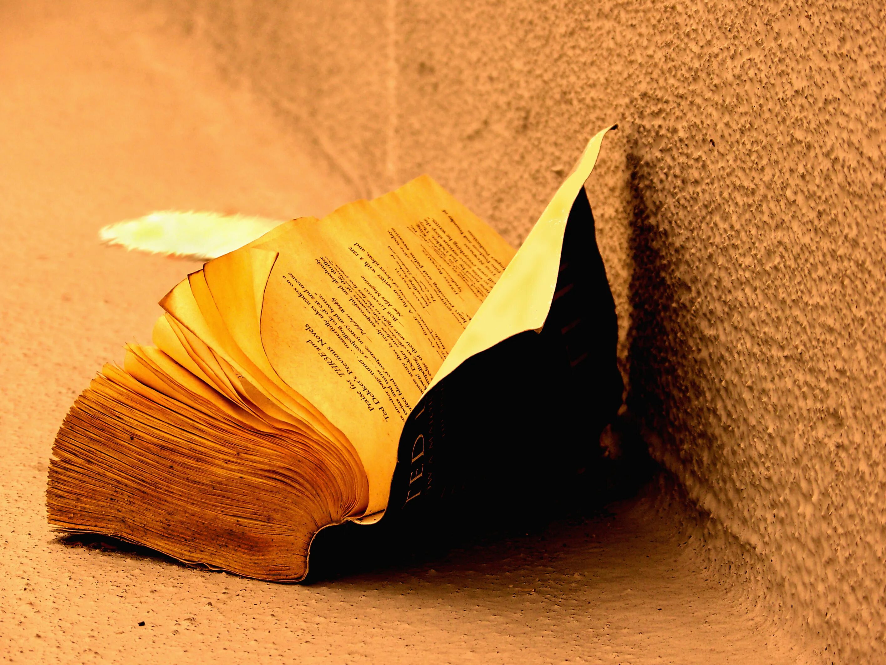 Книга желтый лист. Порванная книга. Книга для…. Разорванная книжка. Книга с вымаранной страницекй.