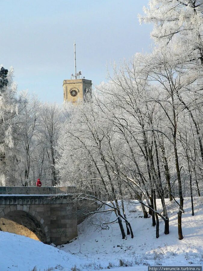 Встреча специалистов Регионального центра инжиниринга с предпринимателями Гатчин