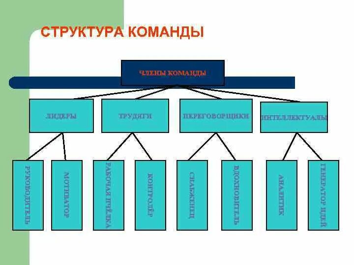 Определение структуры команды. Структура команды. строение команды. типы и структуры команды.