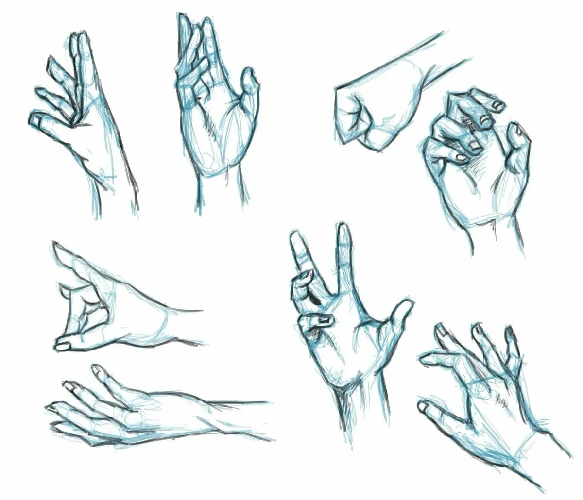 Включи сами начинают руки рисовать. Руки для рисования. Рука нарисованная. Рука референс для рисования. Анатомия рук для рисования.