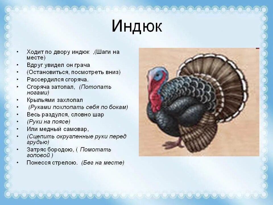 Синквейн индюк умнее всех. Индюк. строение индюка. физминутка индюк. индюк для дошкольников.