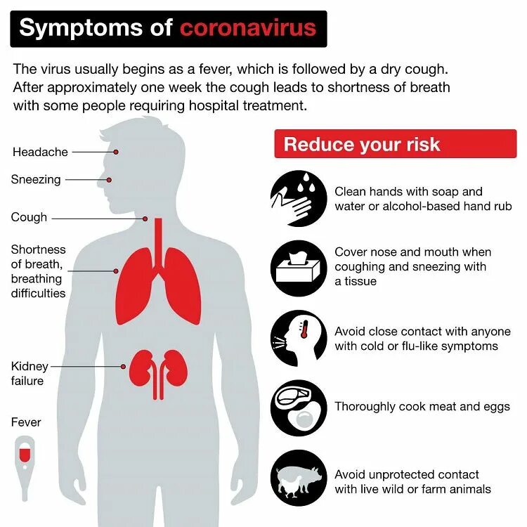 Лечение коронавируса человека препараты. Coronavirus Symptoms. Corona Symptoms. Covid Symptoms. Лихорадка коронавирус.