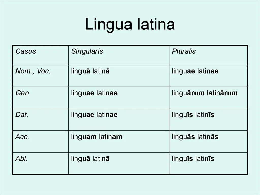 латынь логотип. Lingua перевод с латинского. Lingua latina картинки. введение в латинский язык. Lingua перевод с латинского.