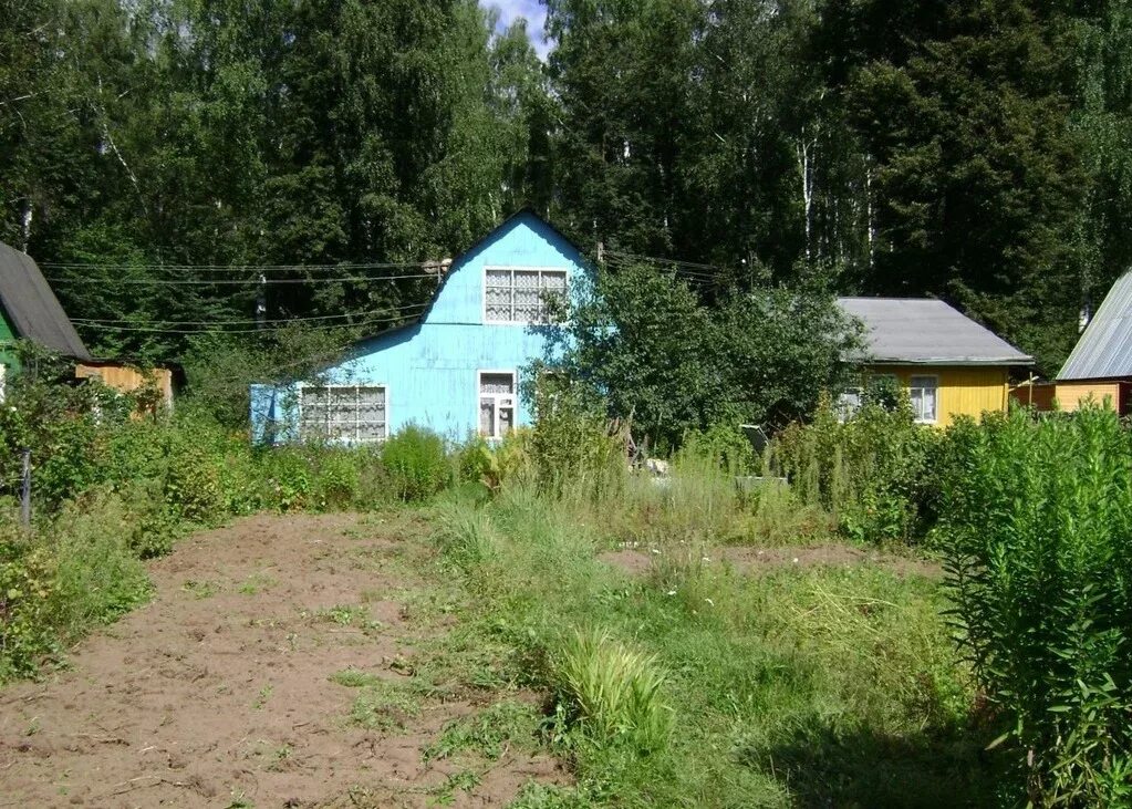 СНТ Березка красный электрик Ногинский район. СНТ Березка Ногинск. Красный электрик Березка СНТ. СНТ Березовая роща Ногинск. Купить снт ногинск