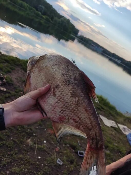 Где можно порыбачить в уфе