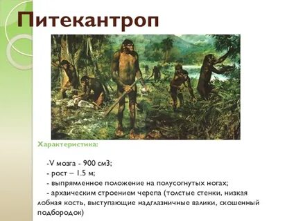 Древнейшие люди особенности жизни