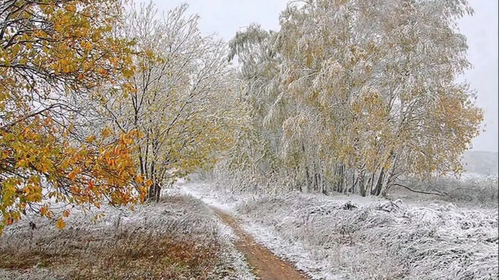 Песня ноябрь снег