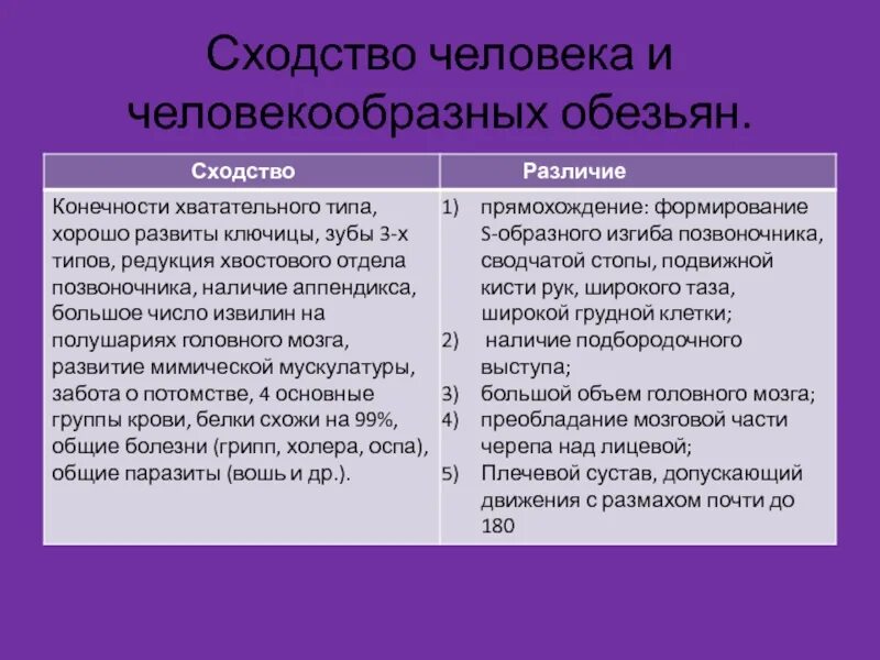 Отличие и сходства людей. Сходство человека и человекообразных обезьян. Сходства и различия человека и обезьяны. Сходство человека и человекообразныхоьезтян. Человек и приматы сходства и различия.