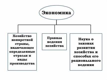 Роль экономических знаний в жизни