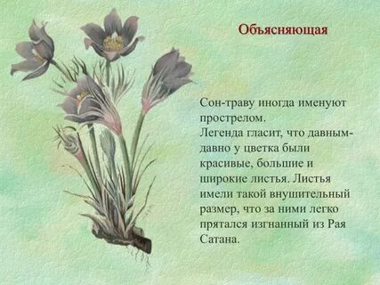 О цвести пре сказание о вертка