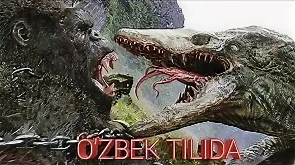 King kong 3 uzbek tilida