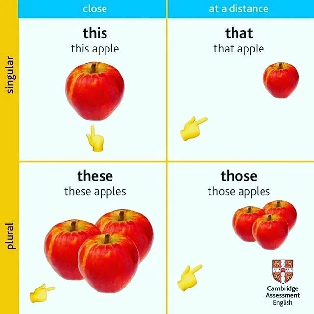 Яблоко перевод на английский. This that apple. this apple these apples. английский this ... an apple. this that these those apples.