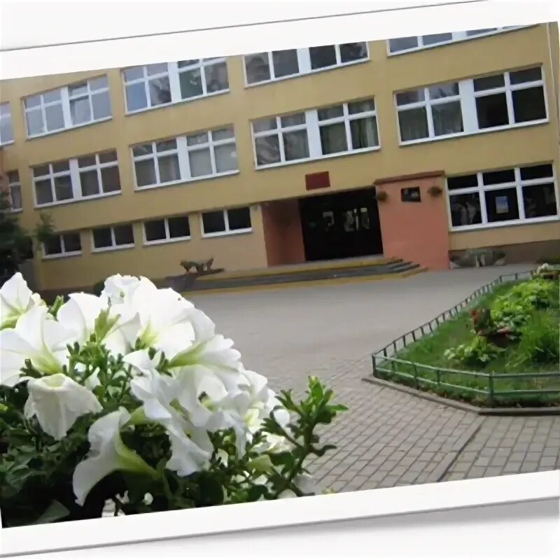 Гродно гимназия 6 фото. Школа 1950 красина. Гродно гимназия 6 картинка. А. Гимназия 628 александринская гимназия.