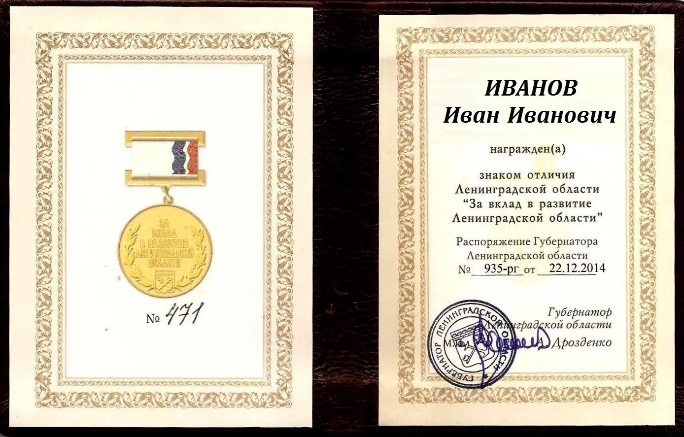 Медаль за вклад в развитие музыкального искусства. Грамота за вклад в культуру. За вклад в воспитание детей. Медаль за вклад в новосибирскую область. За вклад в развитие.