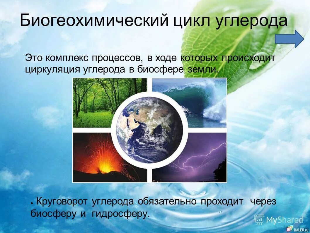 Основные источники биосферы. Биогеохимические циклы круговорот углерода. Биогеохимический круговорот углерода в биосфере. Биогеохимический круговорот углерода в природе. Биогеохимический цикл углерода в природе.