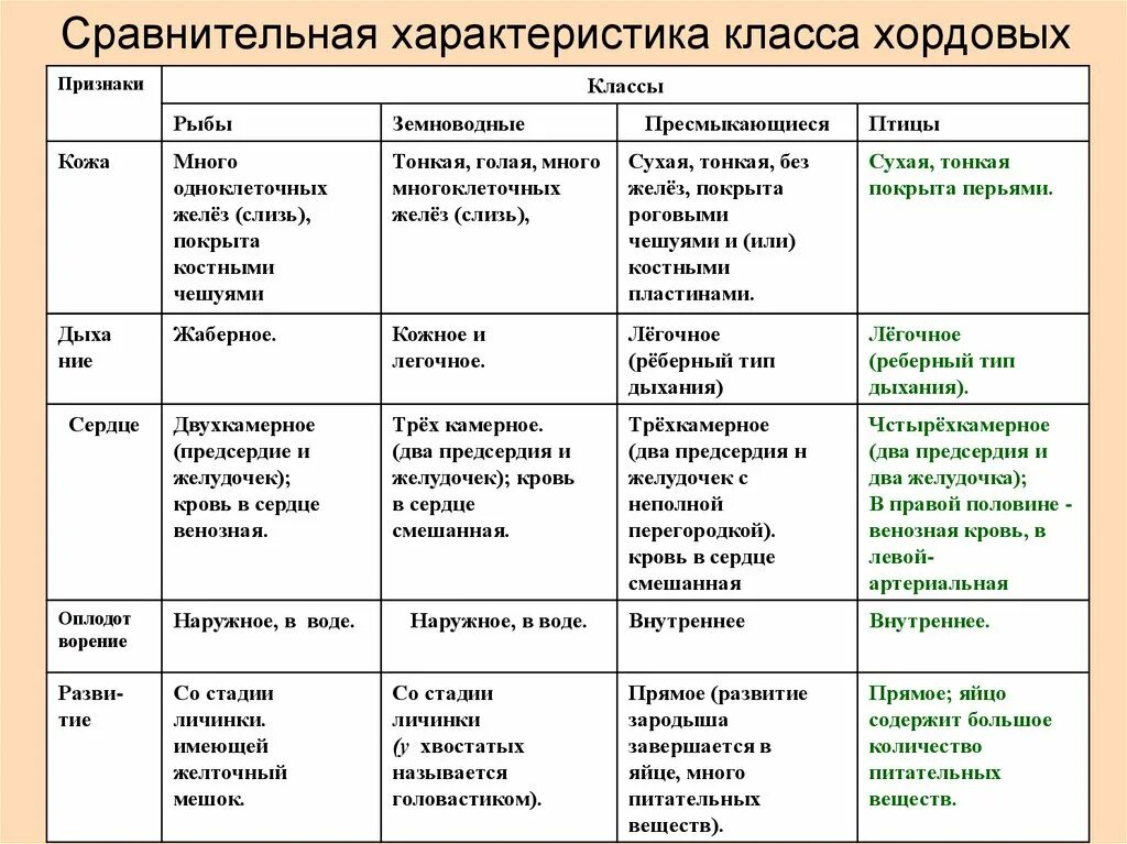 Характеристика земноводных и пресмыкающихся таблица 7 класс. Рыбы земноводные рептилии сравнение таблица. Таблица по биологии 7 класс Хордовые общая характеристика. Таблица по биологии 7 Хордовые класс млекопитающие. Рыбы земноводные рептилии птицы млекопитающие таблица.