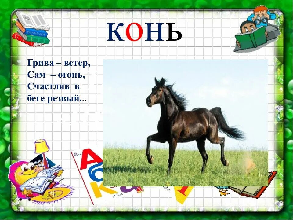 Слово из 5 букв 4 ь. Слова с ь картинки. Слова на букву ь для детей. Картинки слова с ь для детей. Картинки с мягким знаком.