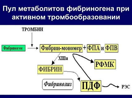 Образование тромба взаимодействие тромбина