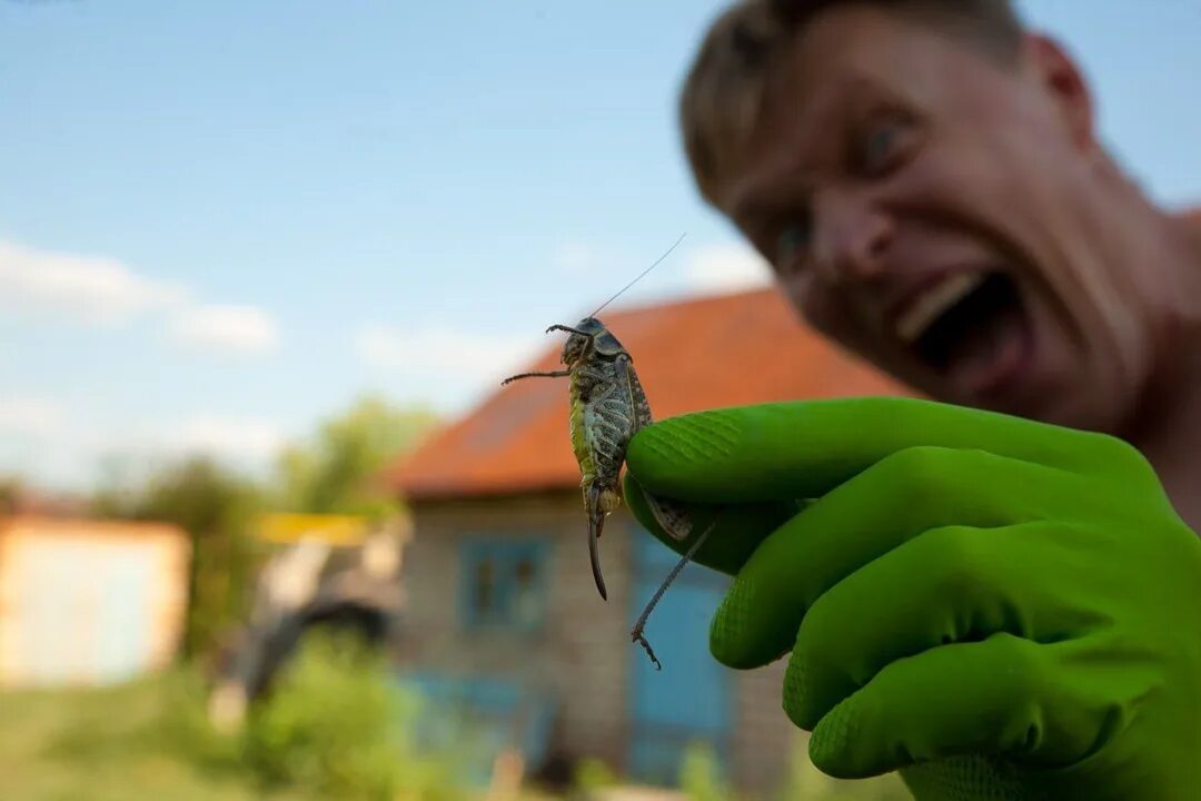 Чучачачучача налетели как саранча. Чучачачучача налетели как саранча