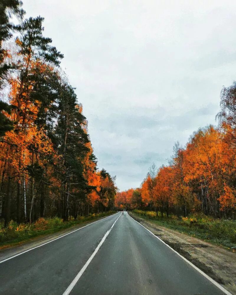 Вк дорога домой