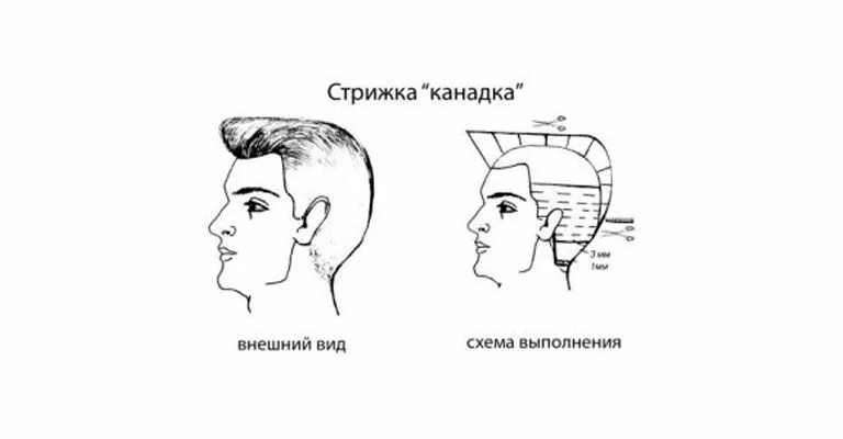 Схема стрижки канадка. Мужская стрижка канадка классическая схема. Стрижка канадка технология выполнения. Мужская стрижка канадка технология выполнения. Технология выполнения мужской стрижки