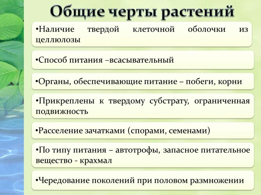 Общие черты растений. Общая особенность растений. Общие черты организации растений. Характерные особенности растений. Каков основной отличительный признак