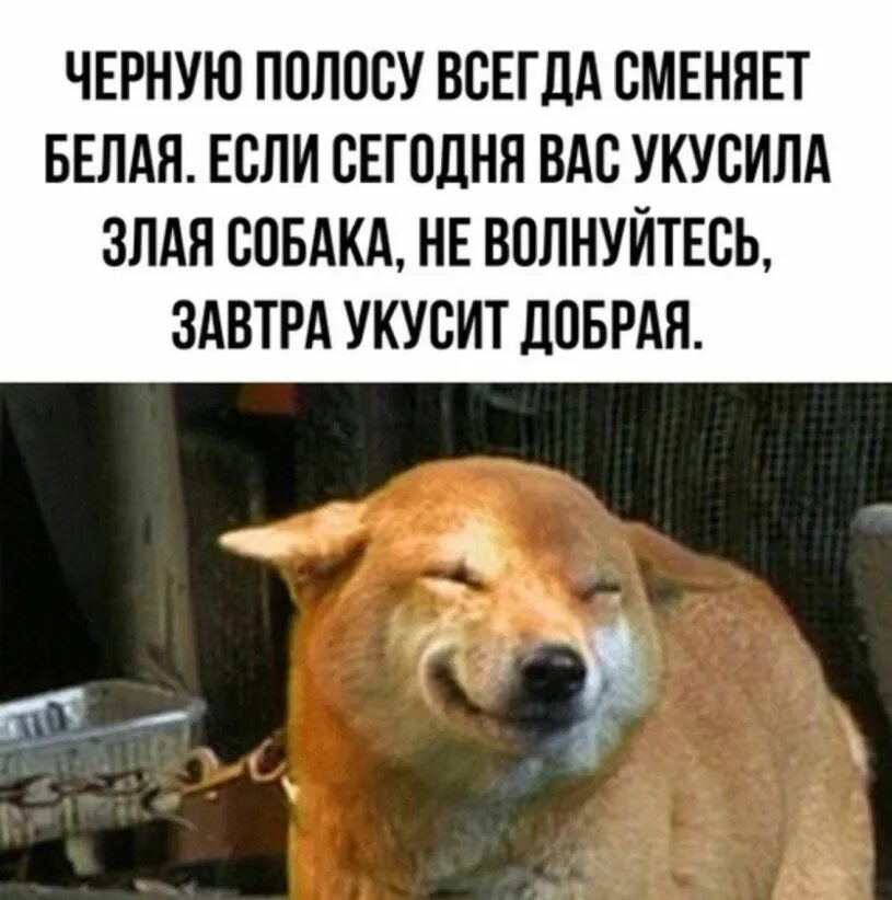 После черной полосы всегда белая