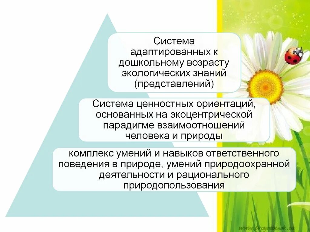 Формирование экологических знаний дошкольников. Теоретические основы экологического образования дошкольников. система экологических знаний. подсистемы экологии дошкольника. экологическая грамотность дошкольников.