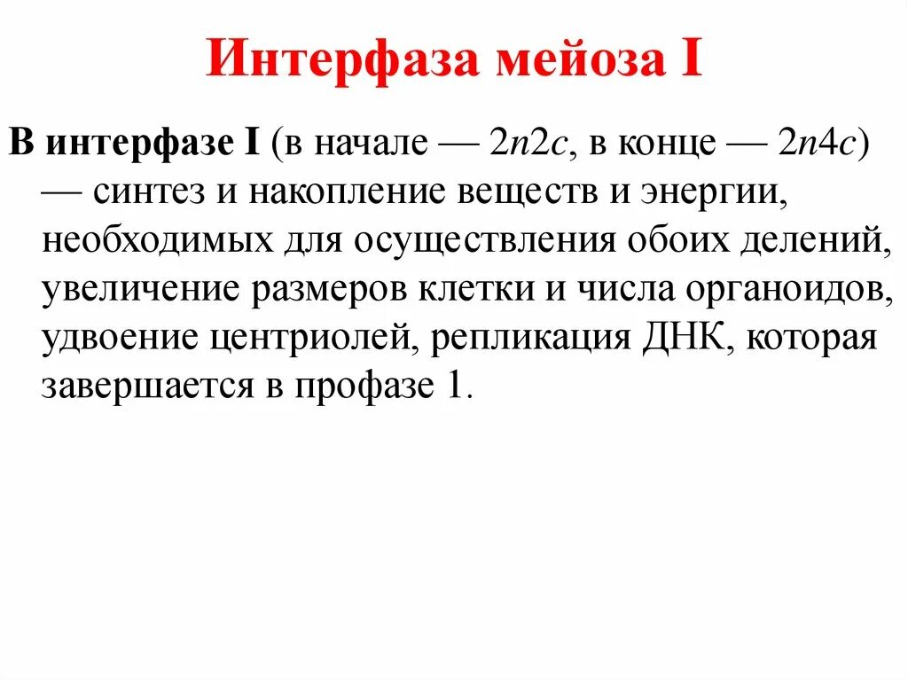 В интерфазе мейоза 1 происходит