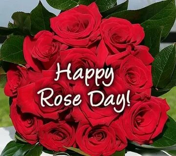 Rose day