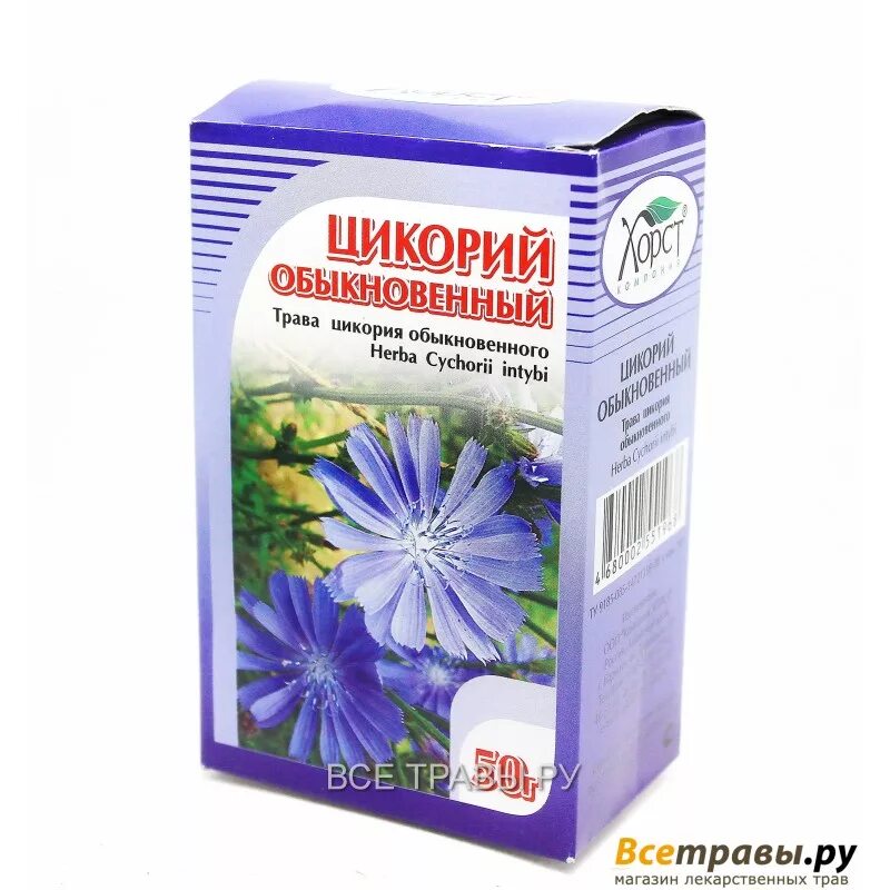 Цикорий. Цикорий трава. Цикорий обыкновенный препараты. Цикорий обыкновенный.
