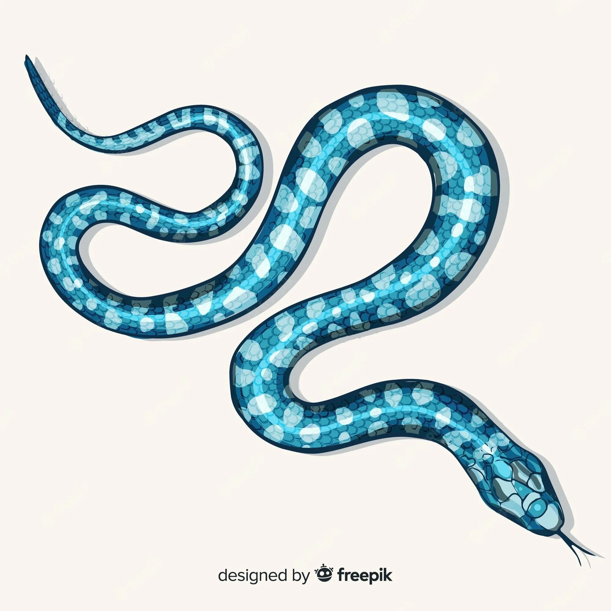 Змеи вектор. Голубая змейка. Змейка вектор. Змейка рисунок. Бажов голубая змейка краткое