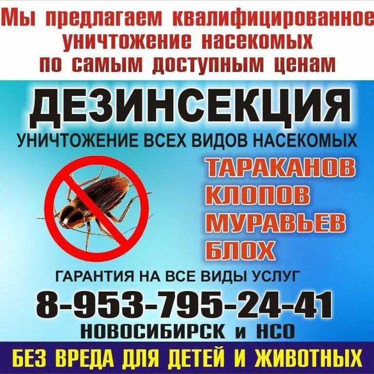 Тараканы вызов на дом