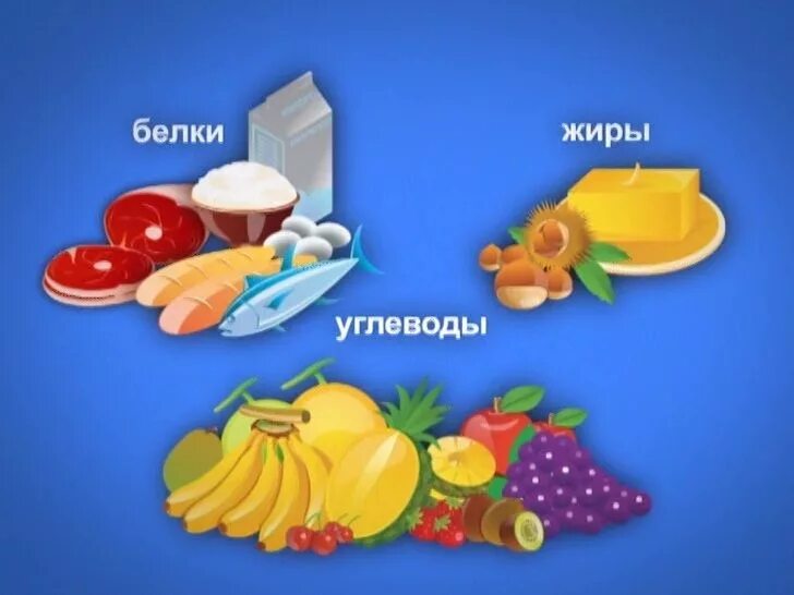 Программа витаминка