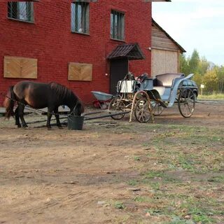Конно каретный двор