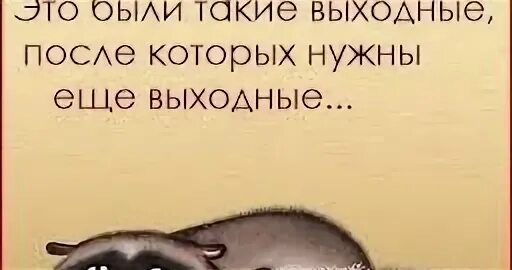 Это было на выходные