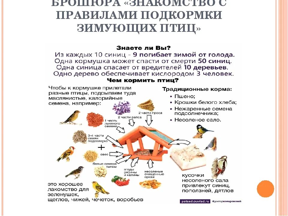 Корма для зимующих птиц. Корм для зимующих птиц в кормушку. Памятка корм для зимующих птиц. Правила кормления птиц зимой. Можно ли птицам крупу